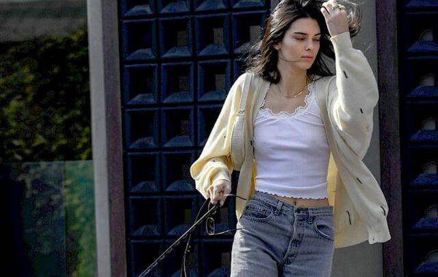 Kendall Jenner See Through while Walking Her Dog! free nude pictures