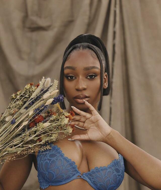 Normani (5th Harmony) free nude pictures