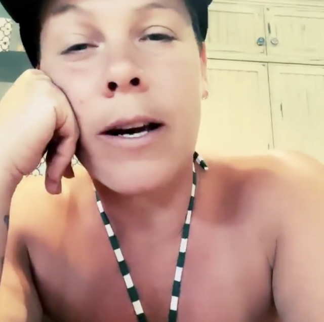 Pink Rips Into Trump Supporters…and Other Fine Things! free nude pictures