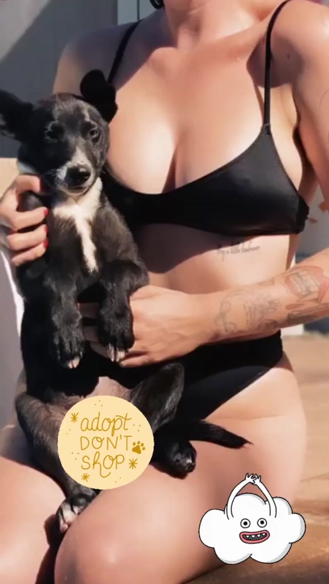 Ireland Baldwin Takes a Dip with her Dog! free nude pictures