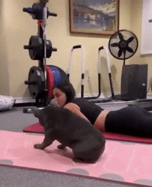 Stretching Is Good For Your Health (PICS + GIFS) free nude pictures